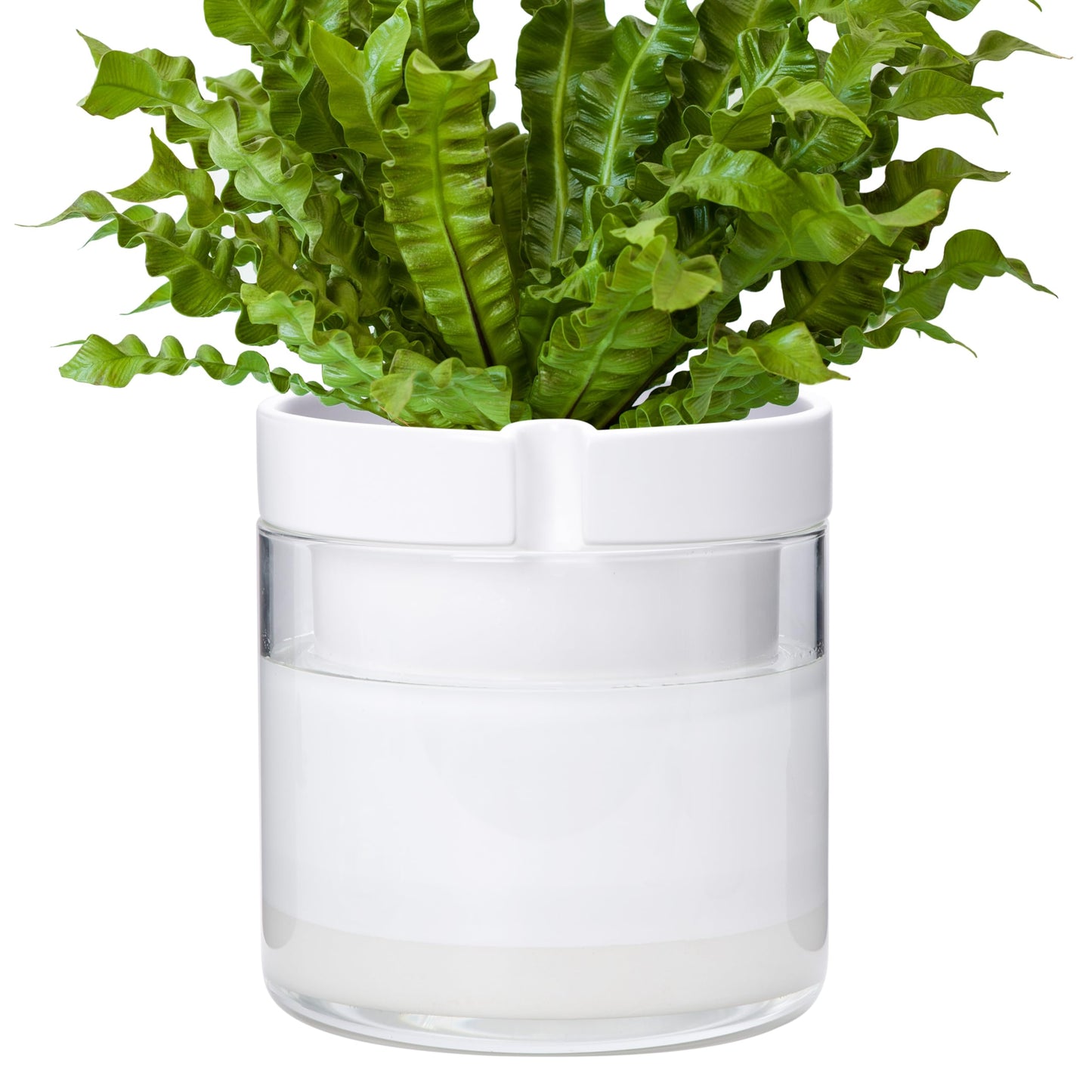 Self Watering Planter Pot Terracotta and Glass