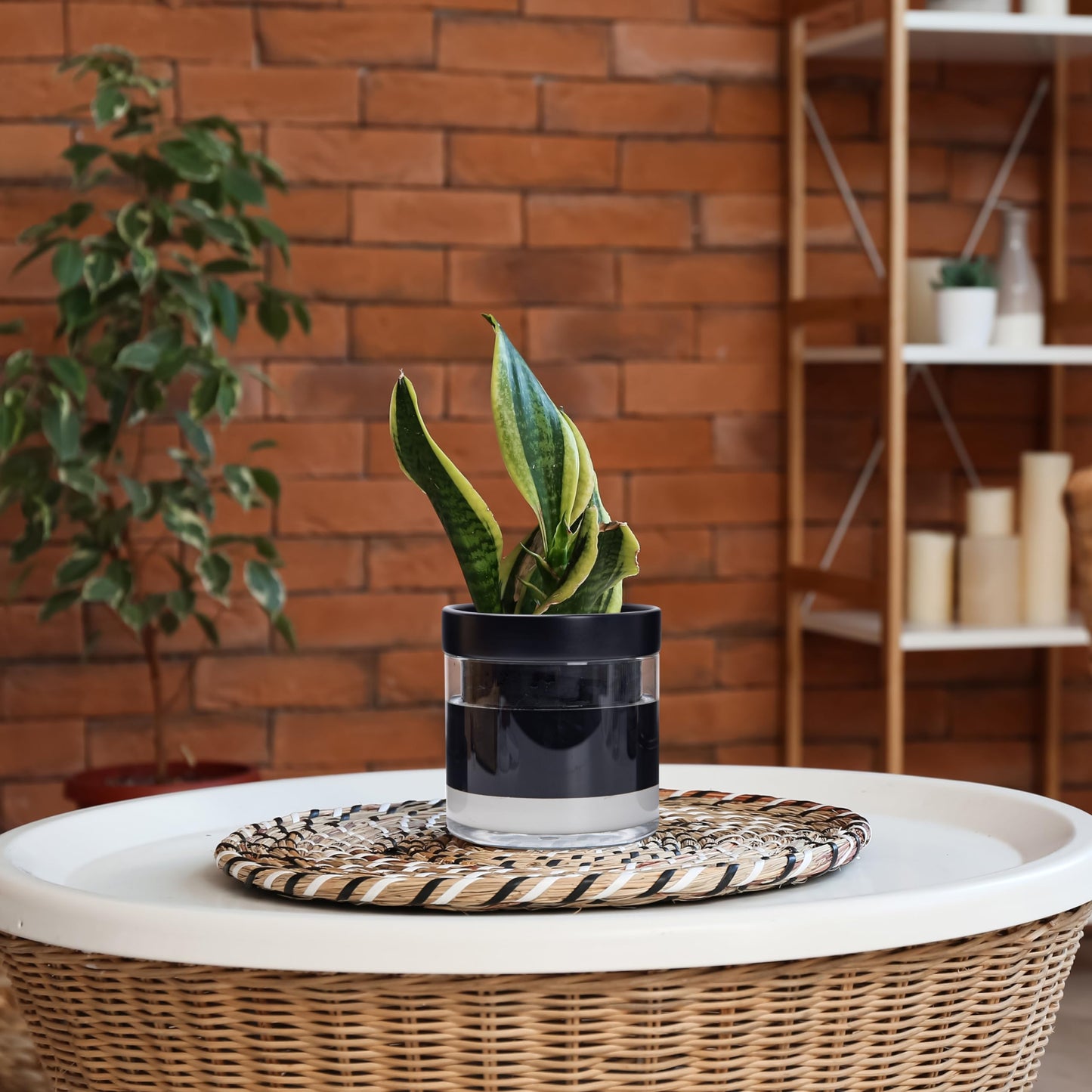 Self Watering Planter Pot Terracotta and Glass