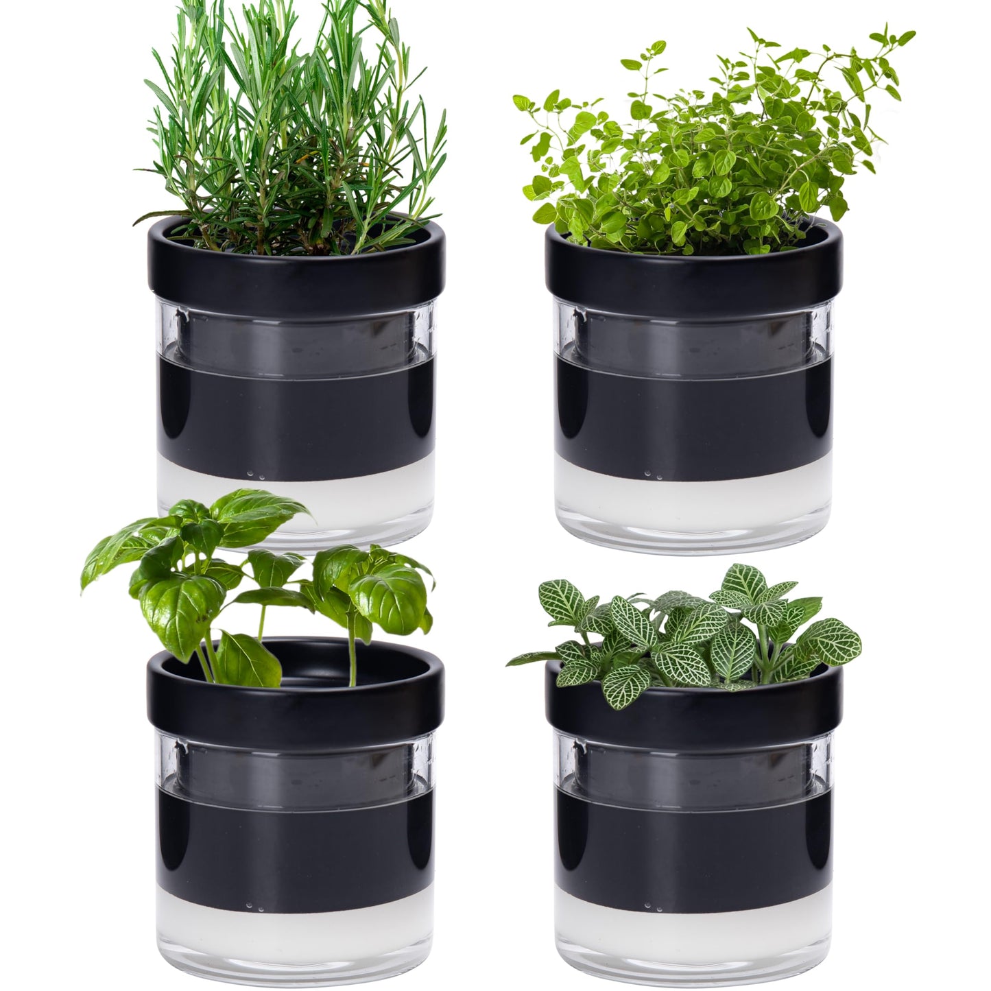 Self Watering Planter Pot Terracotta and Glass