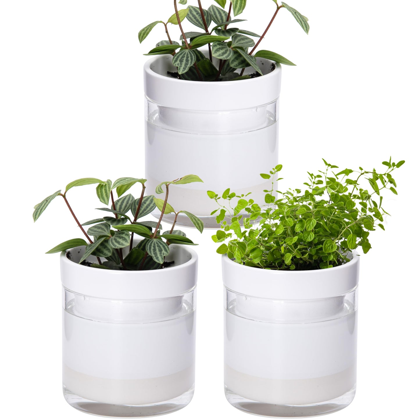 Self Watering Planter Pot Terracotta and Glass