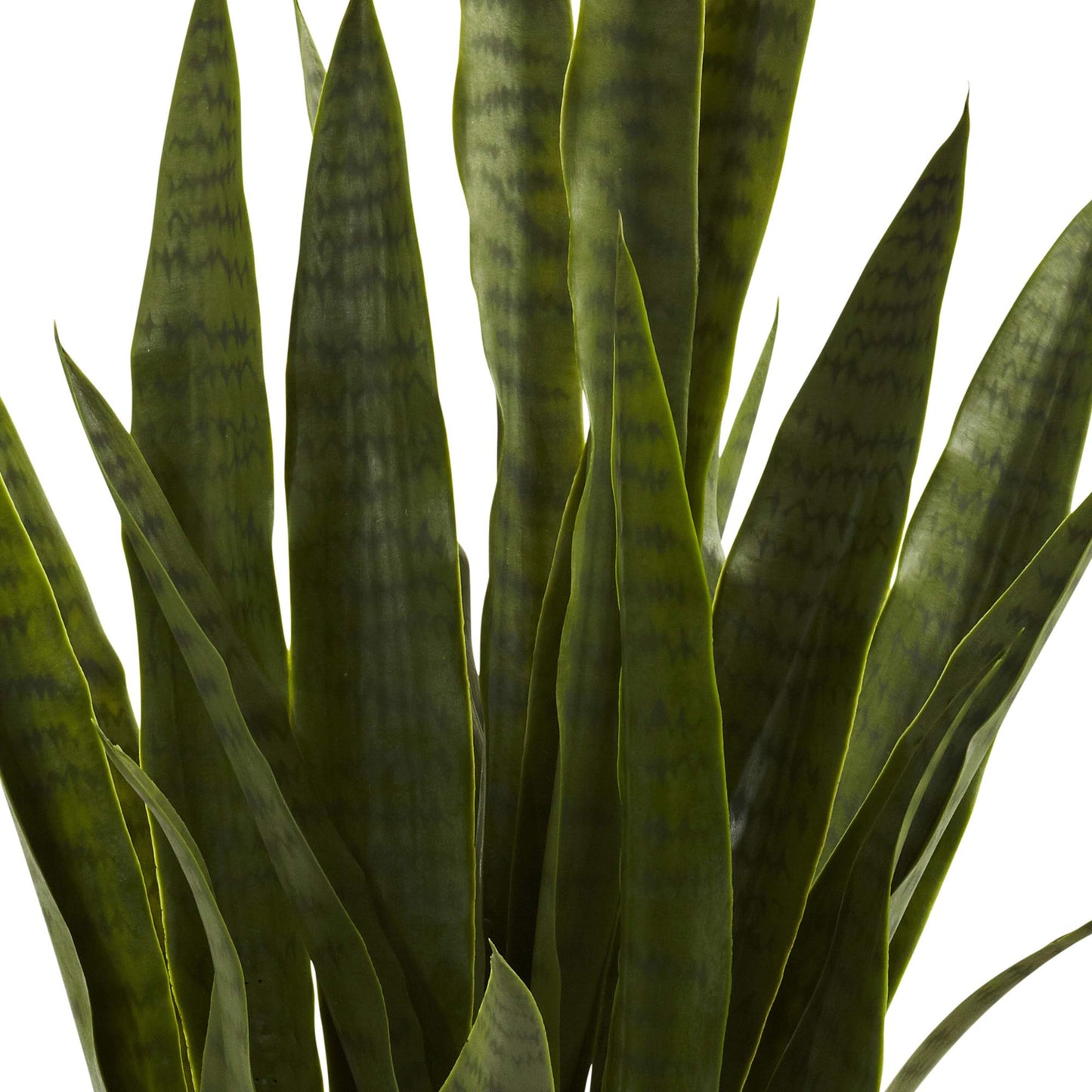 Nearly Natural Sansevieria & Black Planter