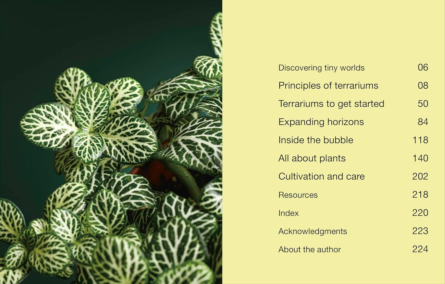 Hello Tiny World Book