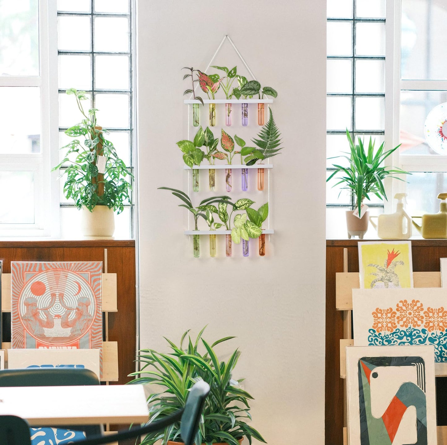 Wall Hanging Plant Propagation Station