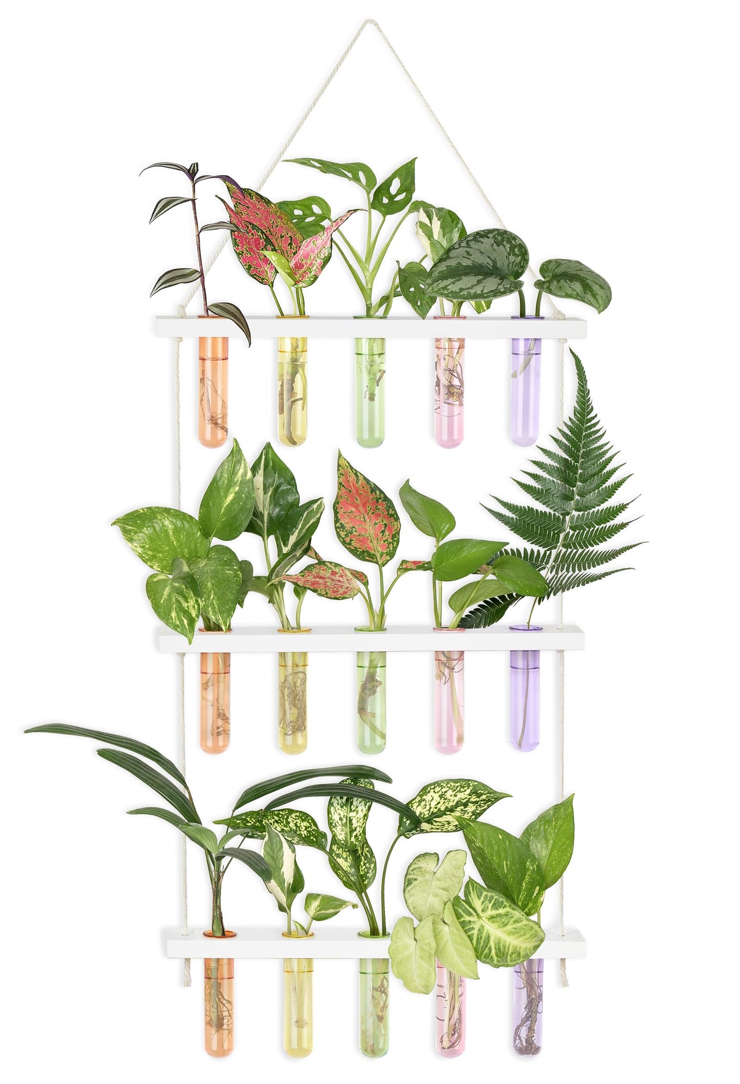 Wall Hanging Plant Propagation Station