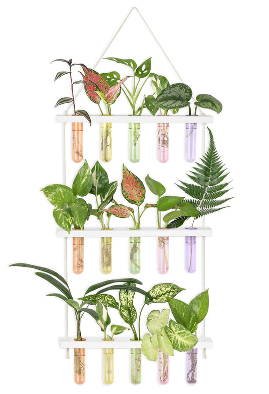 Wall Hanging Plant Propagation Station