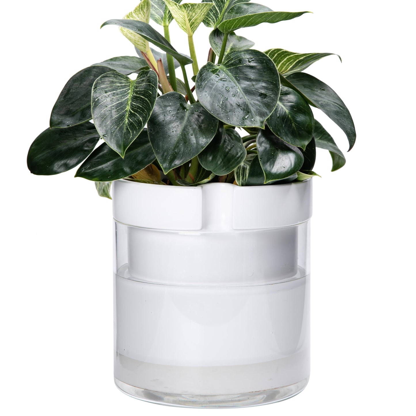 Self Watering Planter Pot Terracotta and Glass