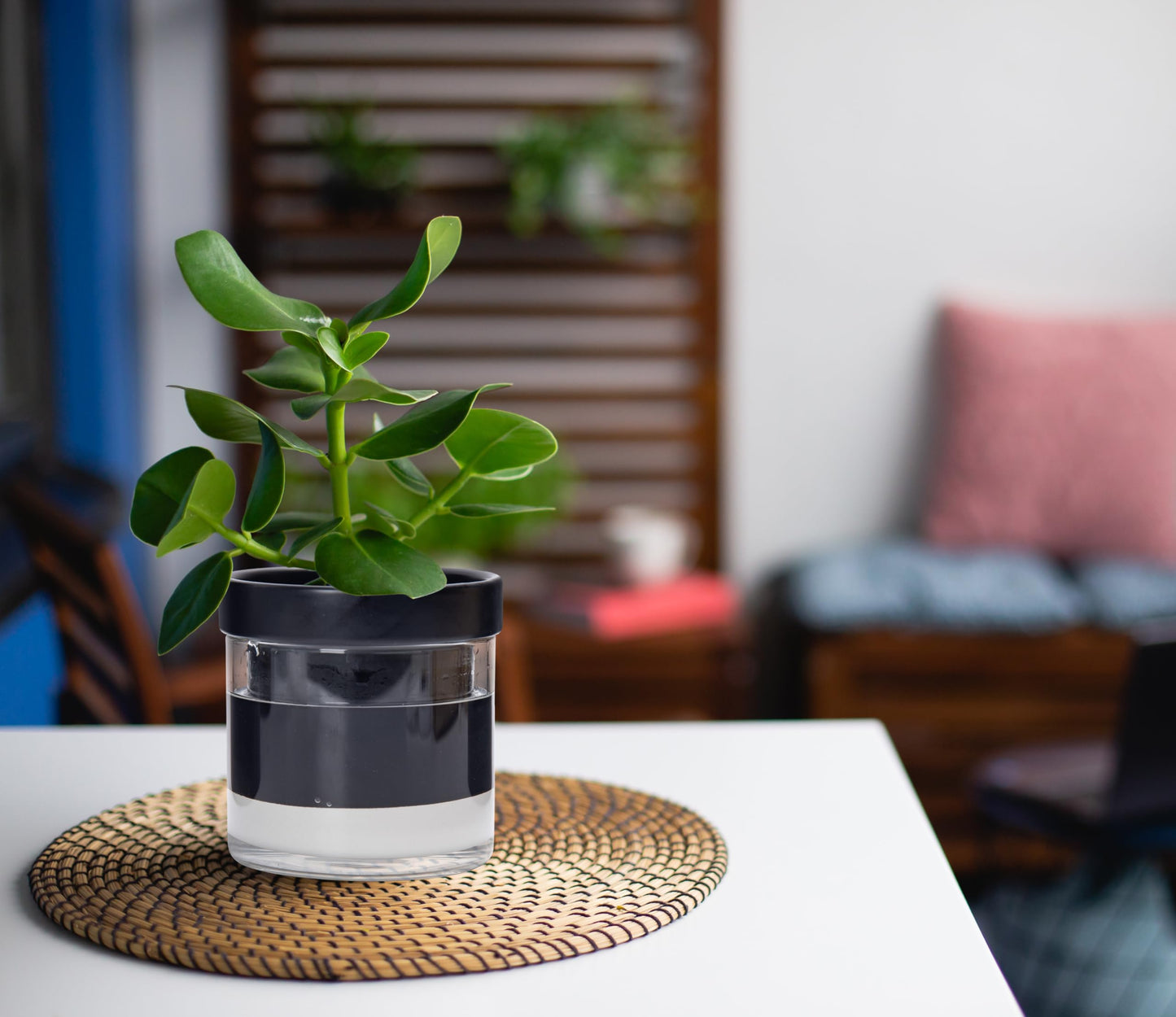 Self Watering Planter Pot Terracotta and Glass