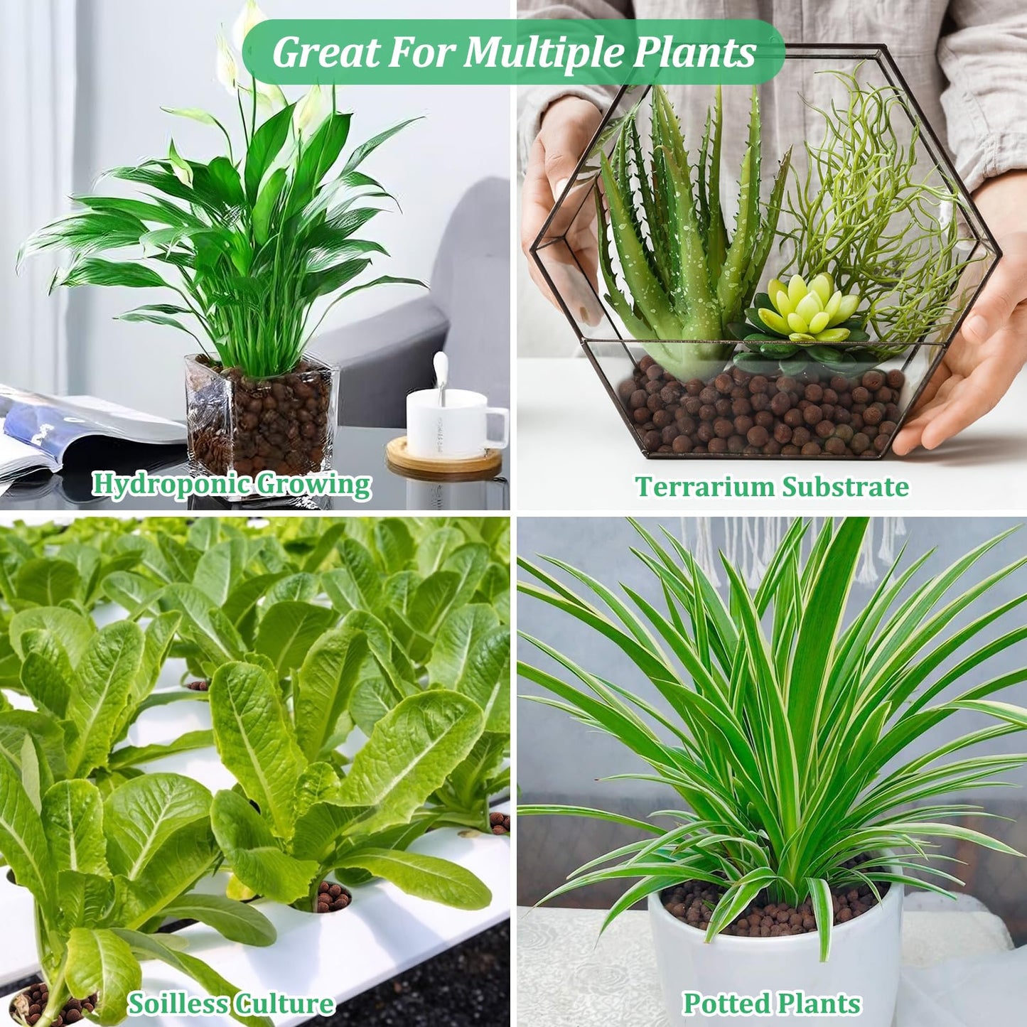 Organic Expanded Clay Pebbles for Plants | Leca