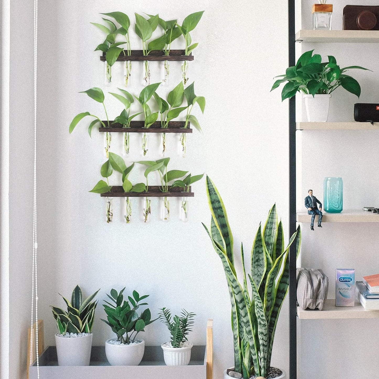 Plant Propagation Station - SET OF 3