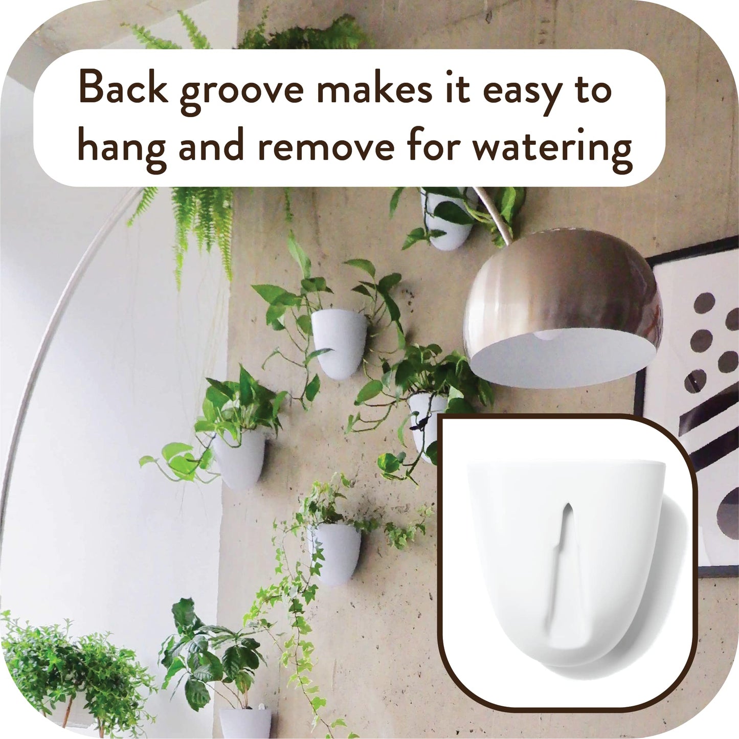 Self-Watering Wall Planter Set