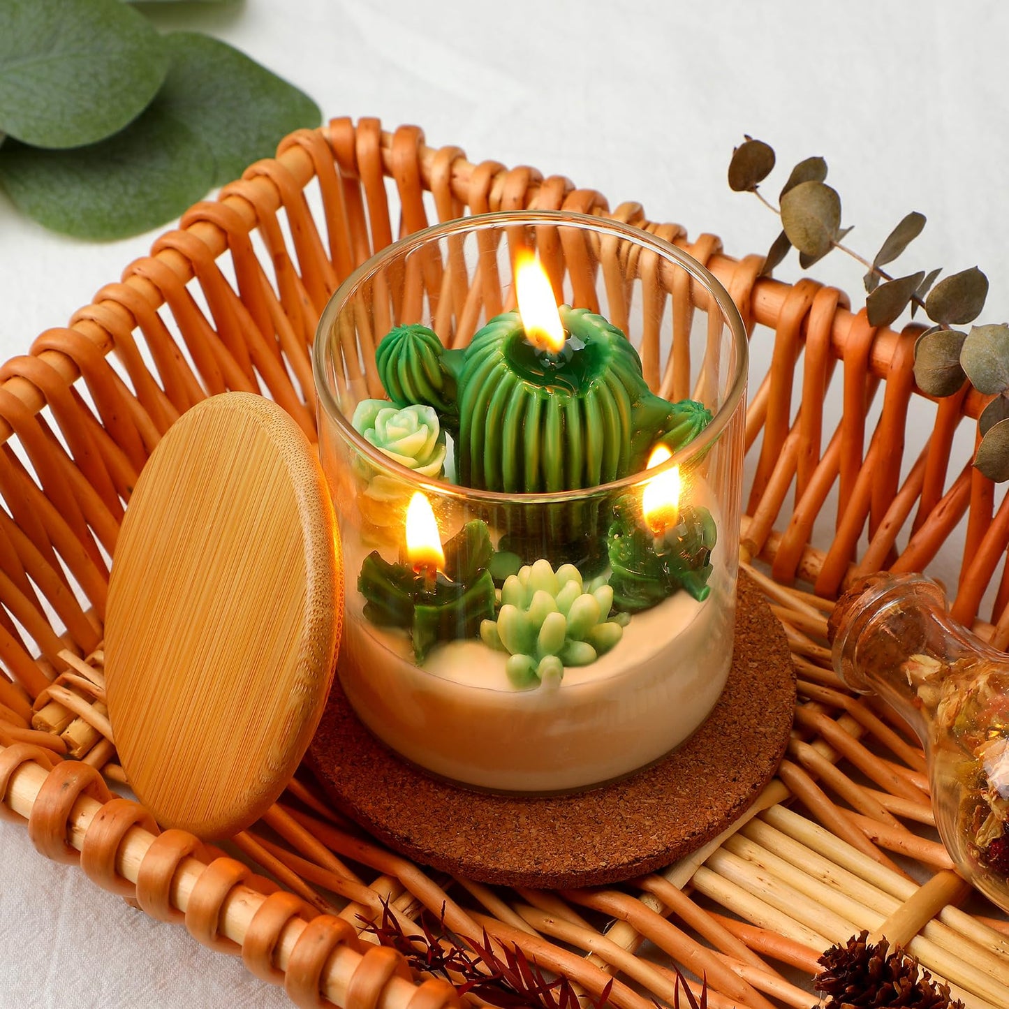Cactus Terrarium Plant Candle