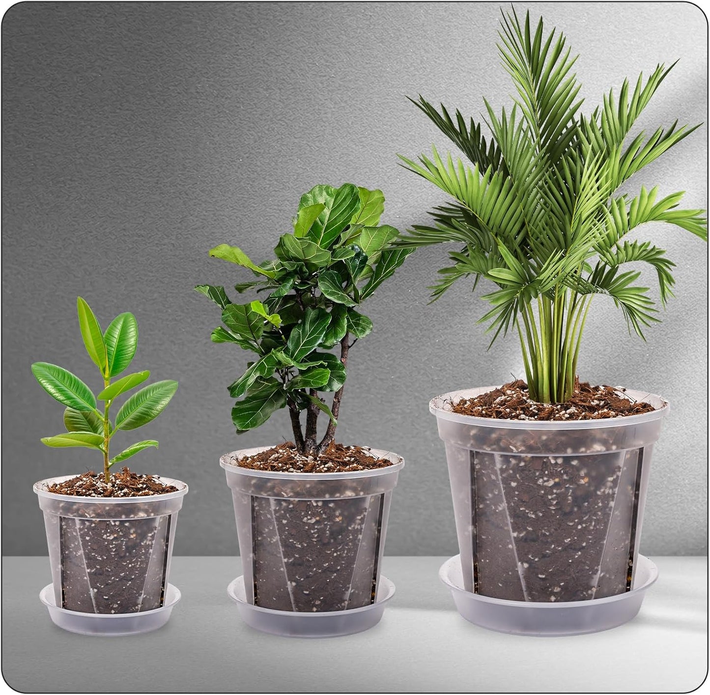 Clear Nursery Pots 12 Pack 4/5/6 Inch w/Tray