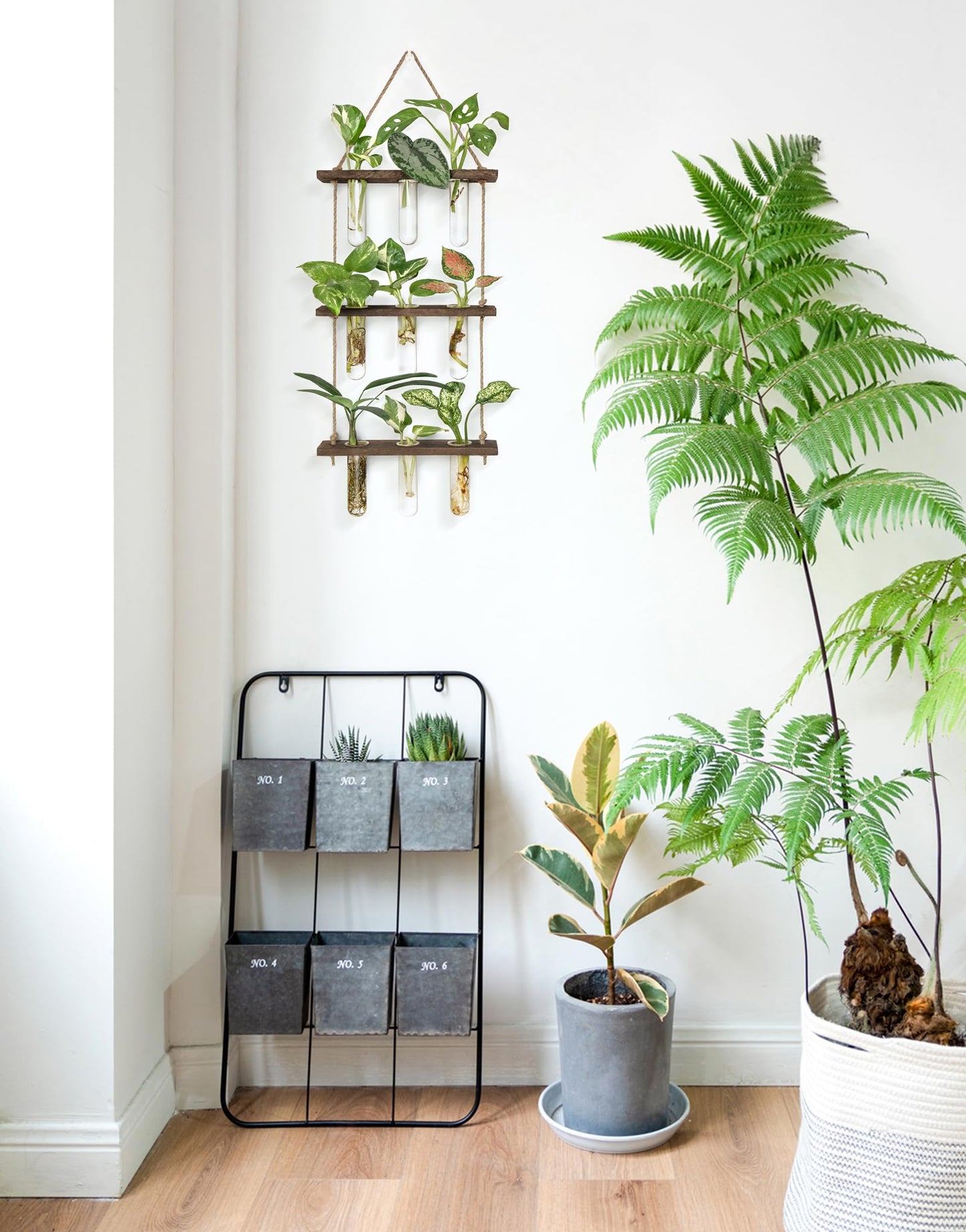 Wall Hanging Plant Propagation Station