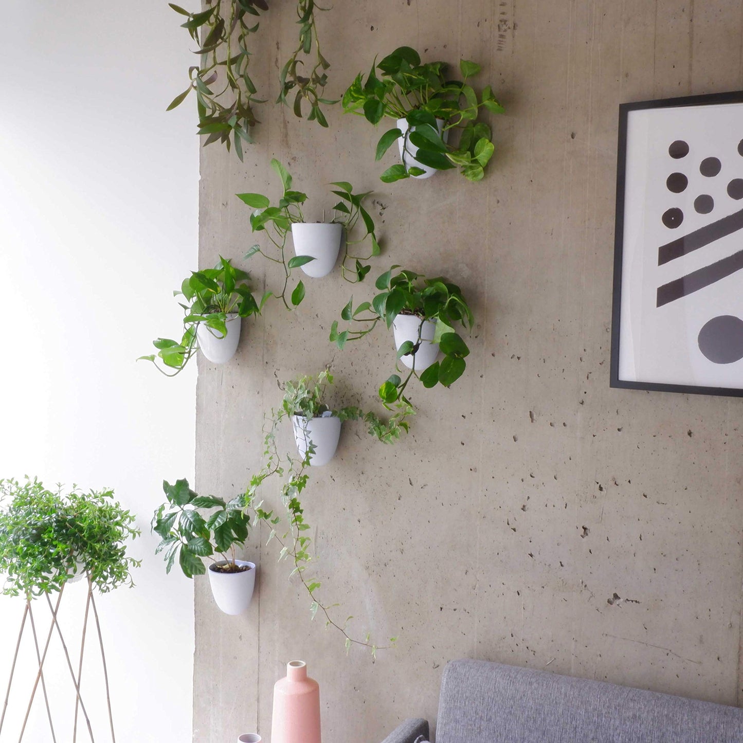 Self-Watering Wall Planter Set