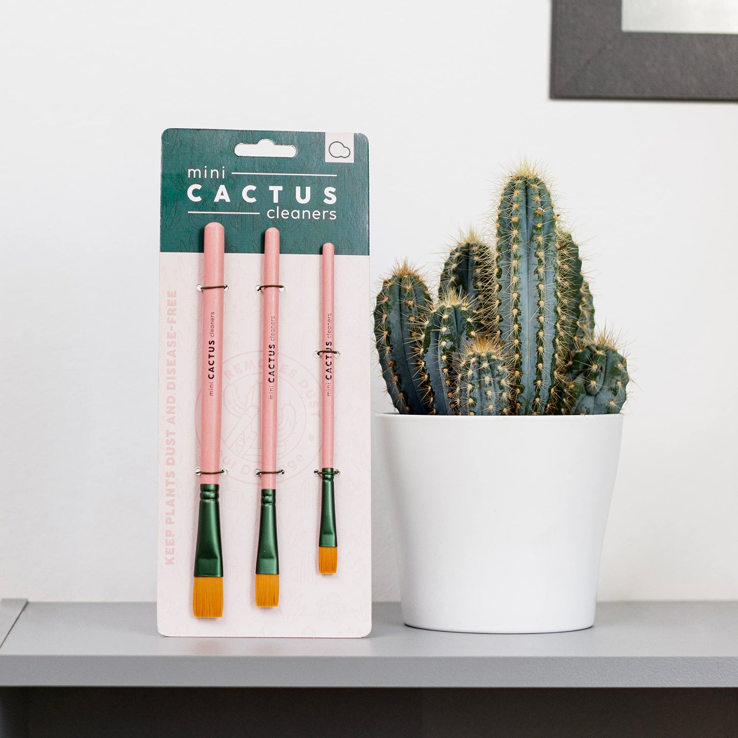 Mini Cactus Brush Set