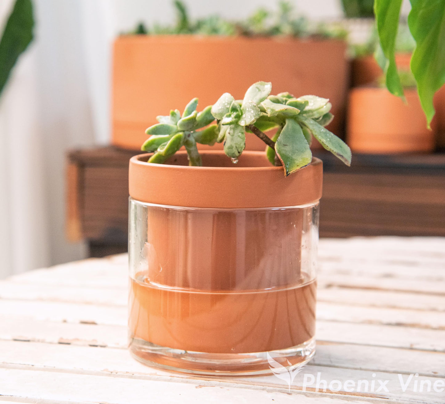 Self Watering Planter Pot Terracotta and Glass
