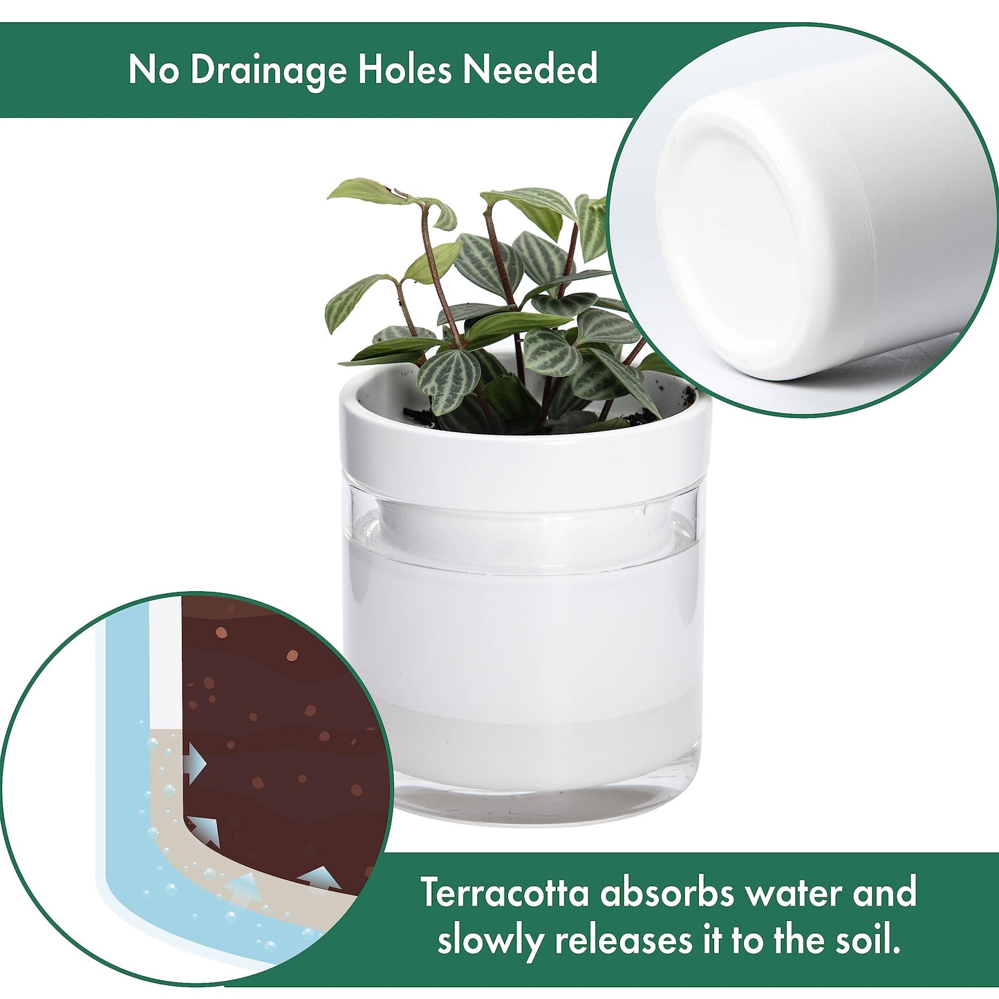 Self Watering Planter Pot Terracotta and Glass