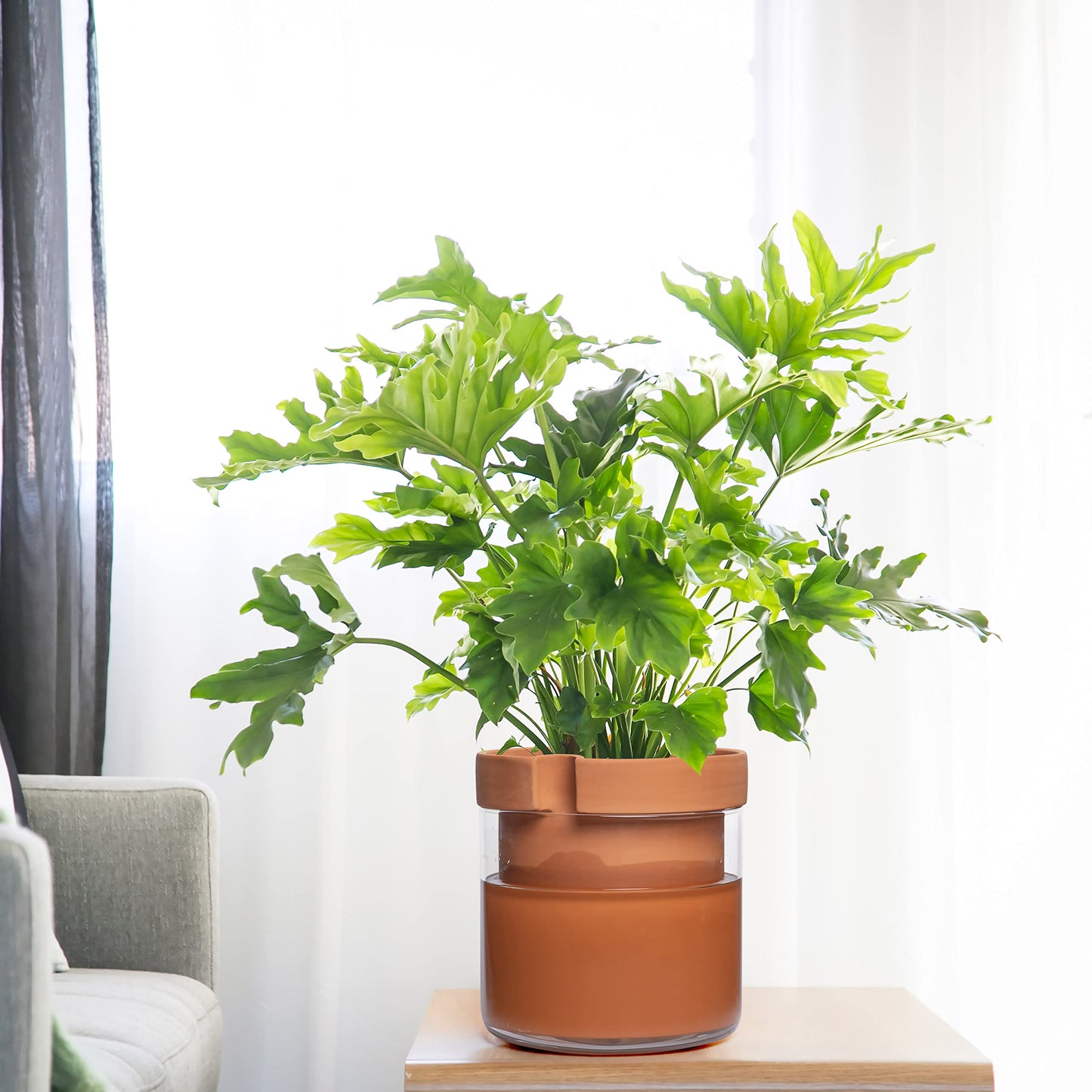 Self Watering Planter Pot Terracotta and Glass