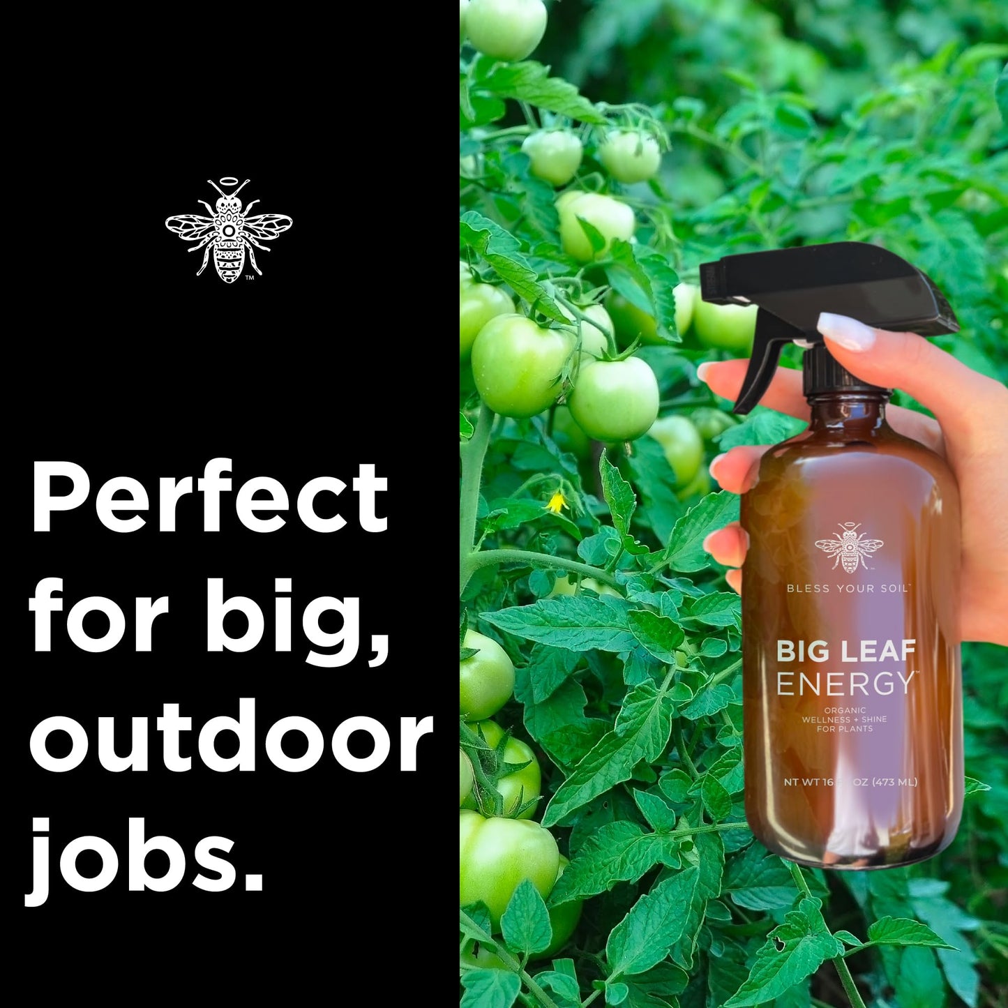 Big Leaf Energy Organic Neem Oil + Essential Oils