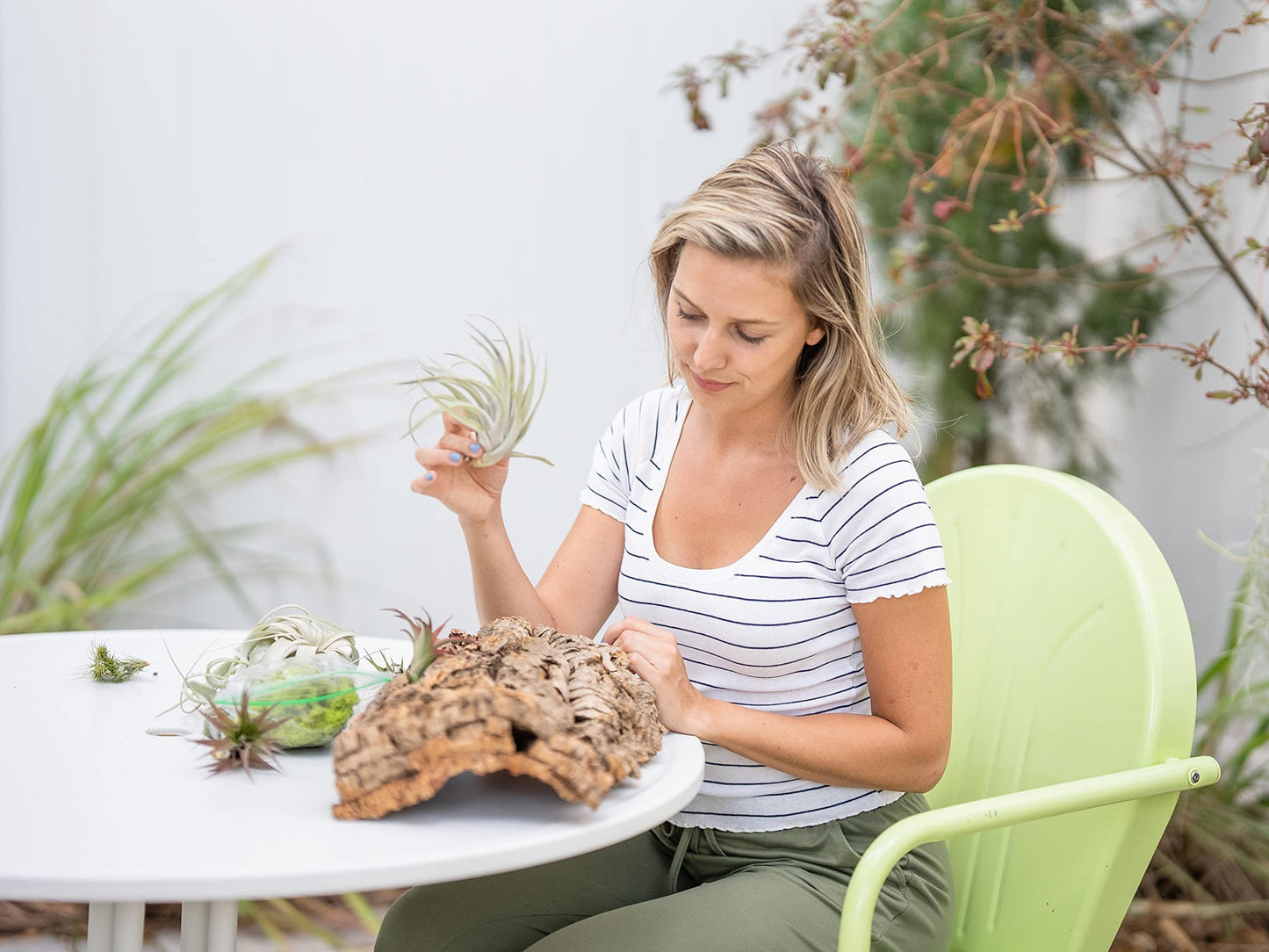 DIY Natural Cork Bark with Air Plants Kit