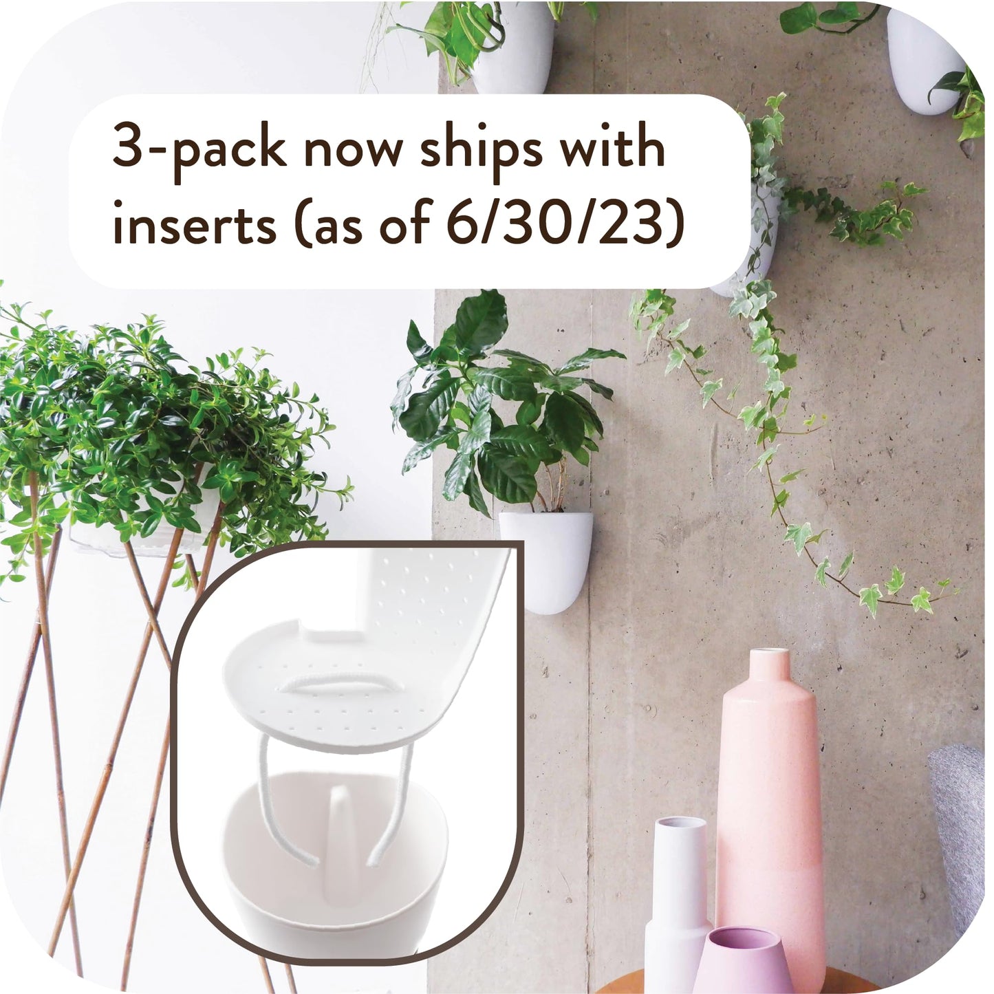 Self-Watering Wall Planter Set