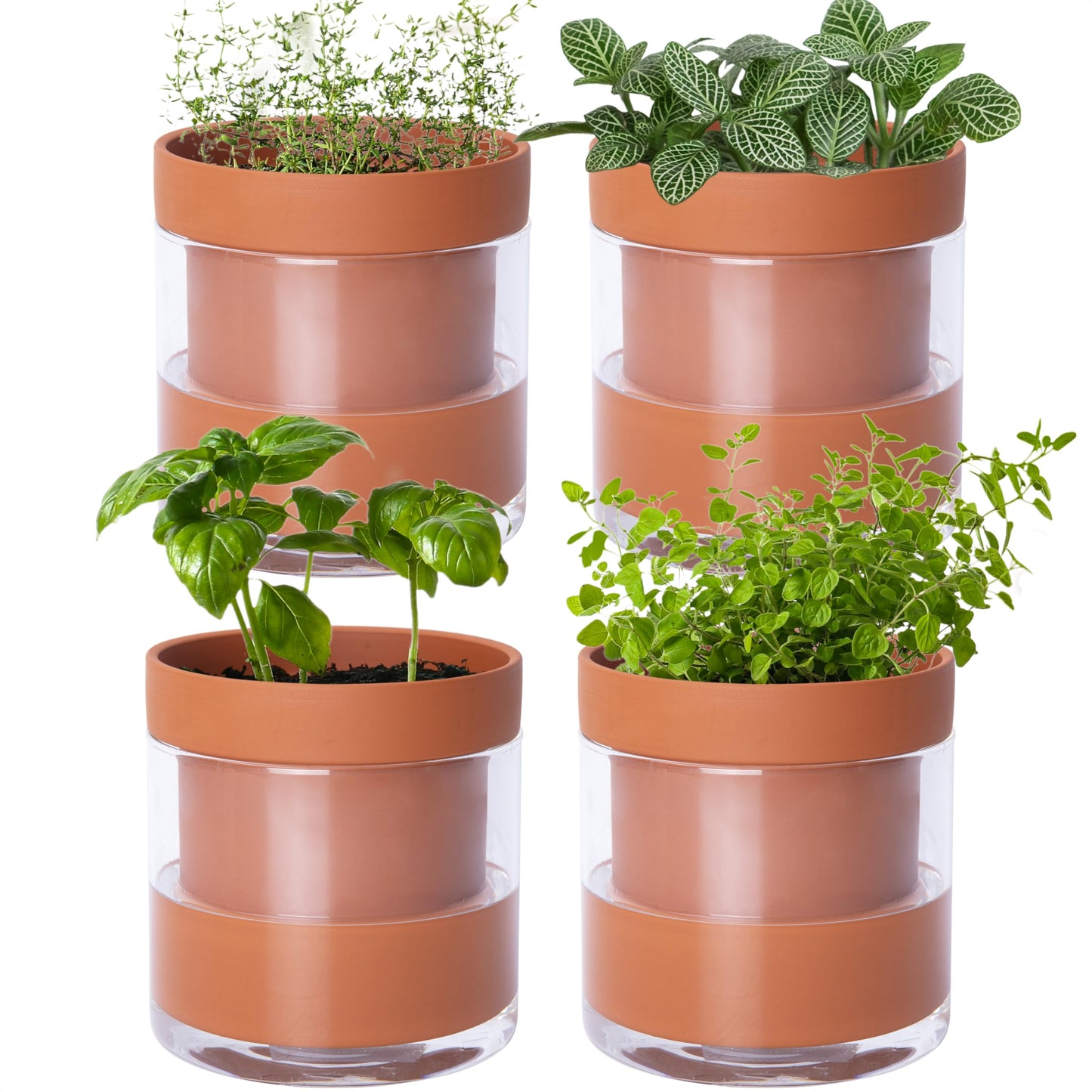 Self Watering Planter Pot Terracotta and Glass