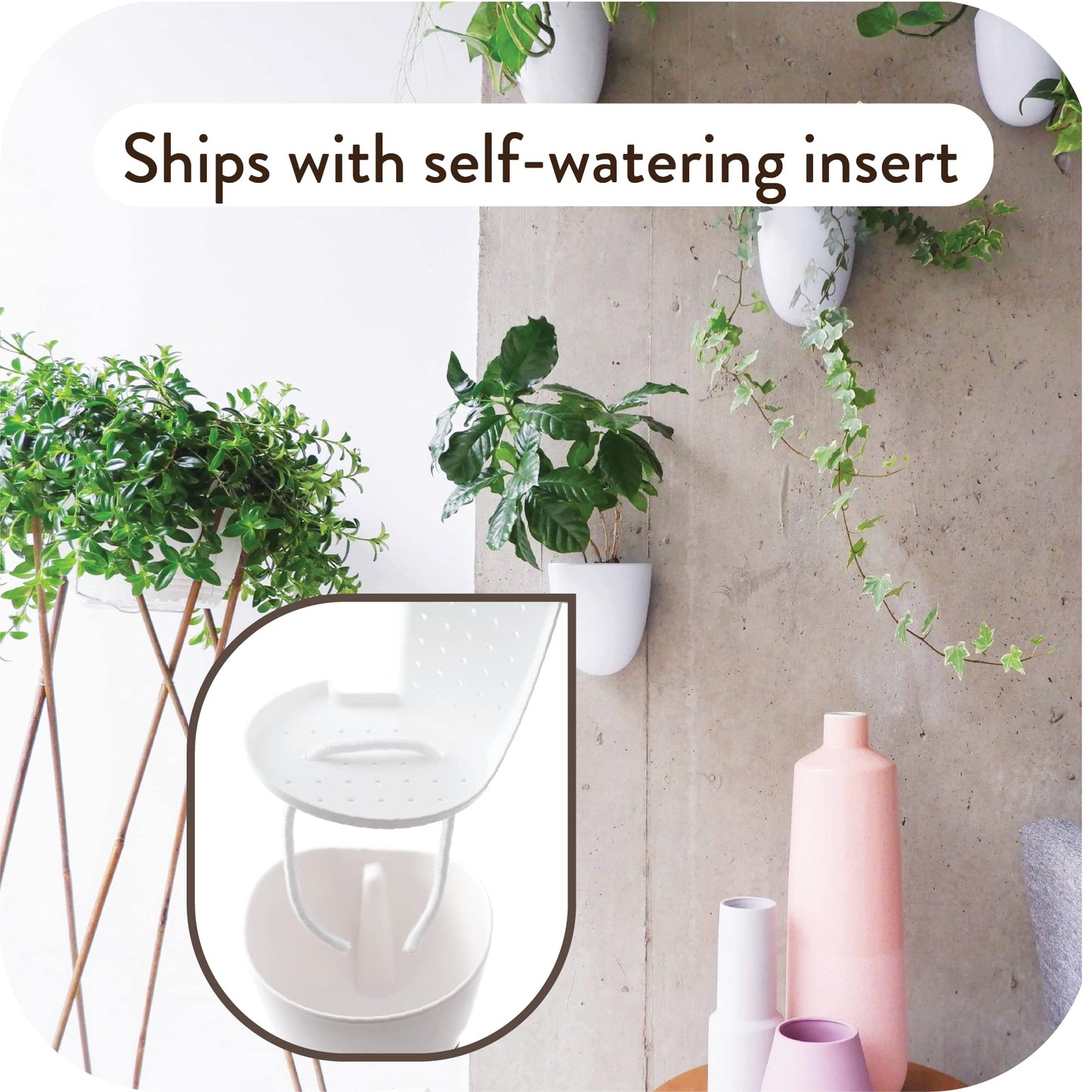 Self-Watering Wall Planter Set