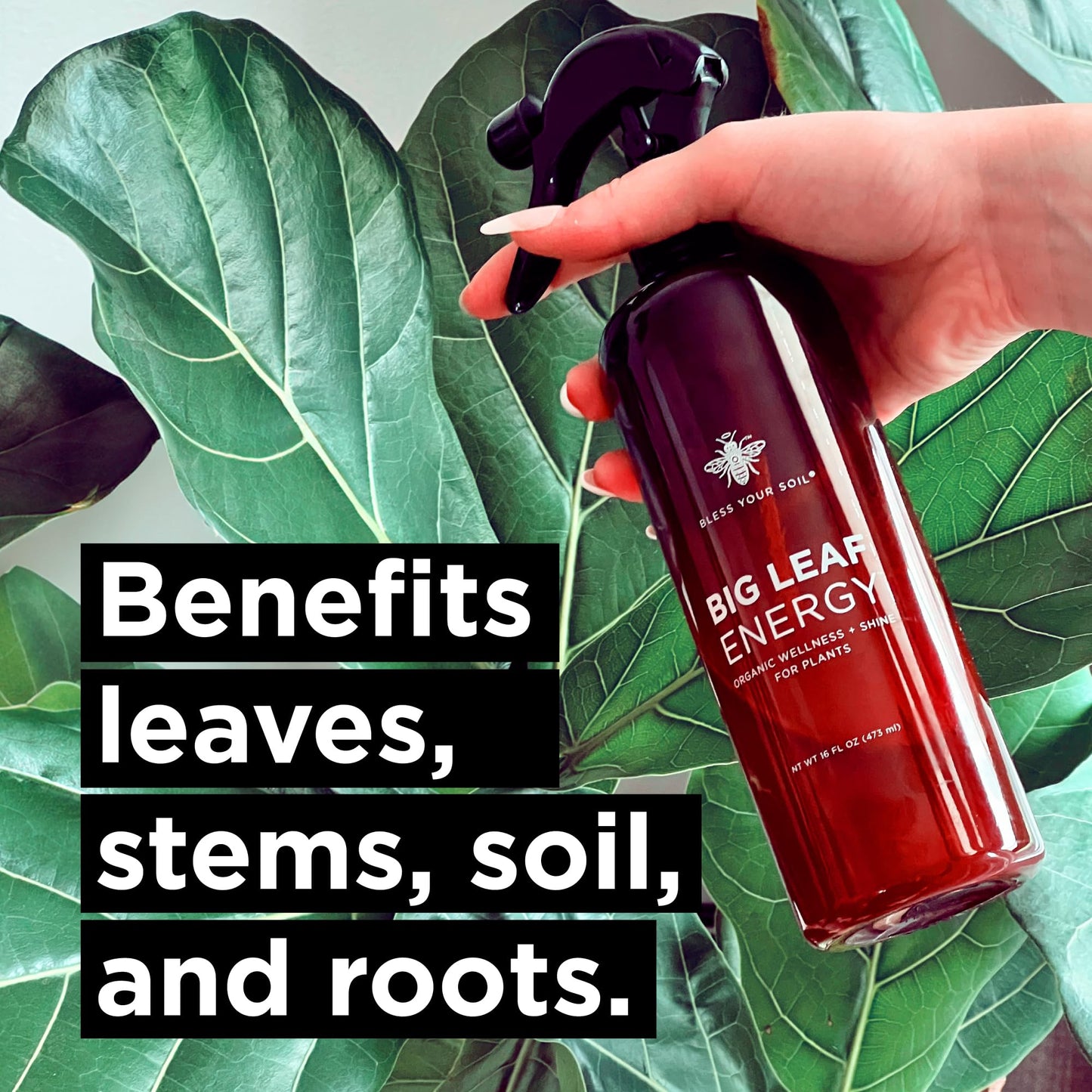 Big Leaf Energy Organic Neem Oil + Essential Oils
