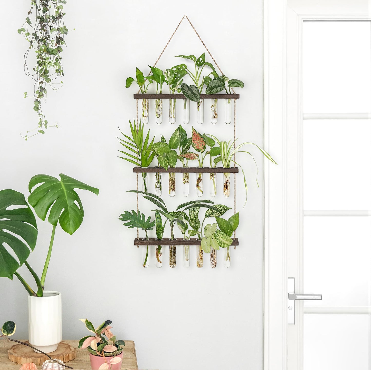Wall Hanging Plant Propagation Station