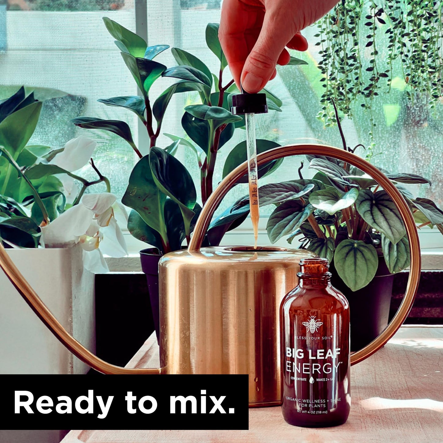 Big Leaf Energy Organic Neem Oil + Essential Oils