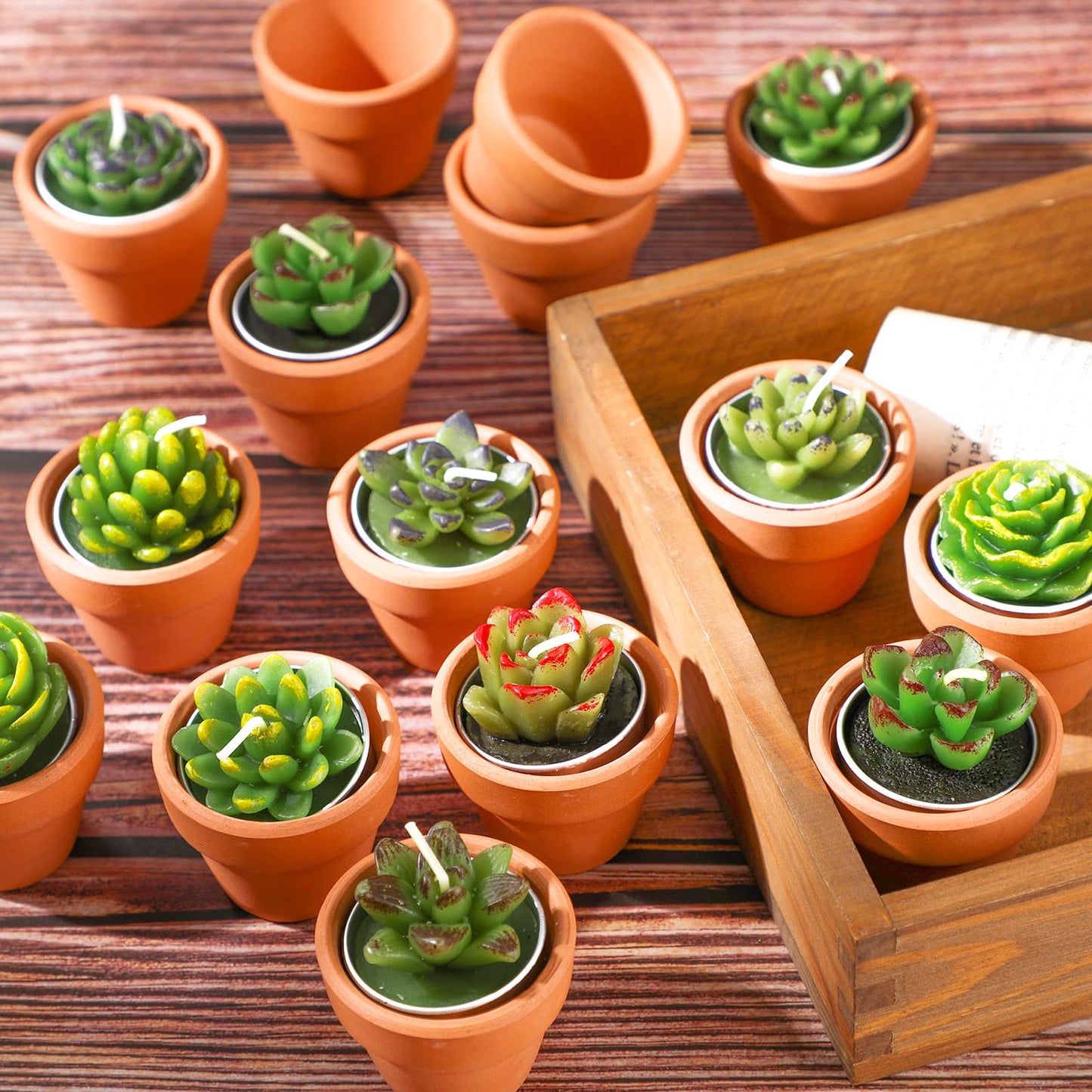 Succulent Cactus 18ea Tealight Candles