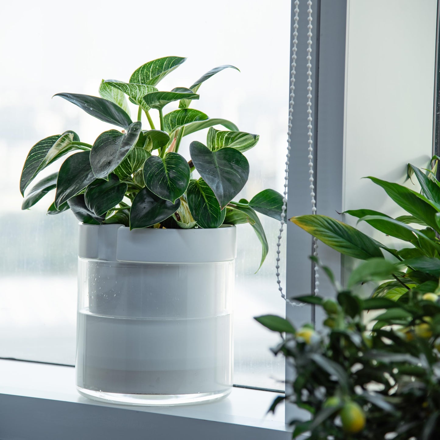 Self Watering Planter Pot Terracotta and Glass