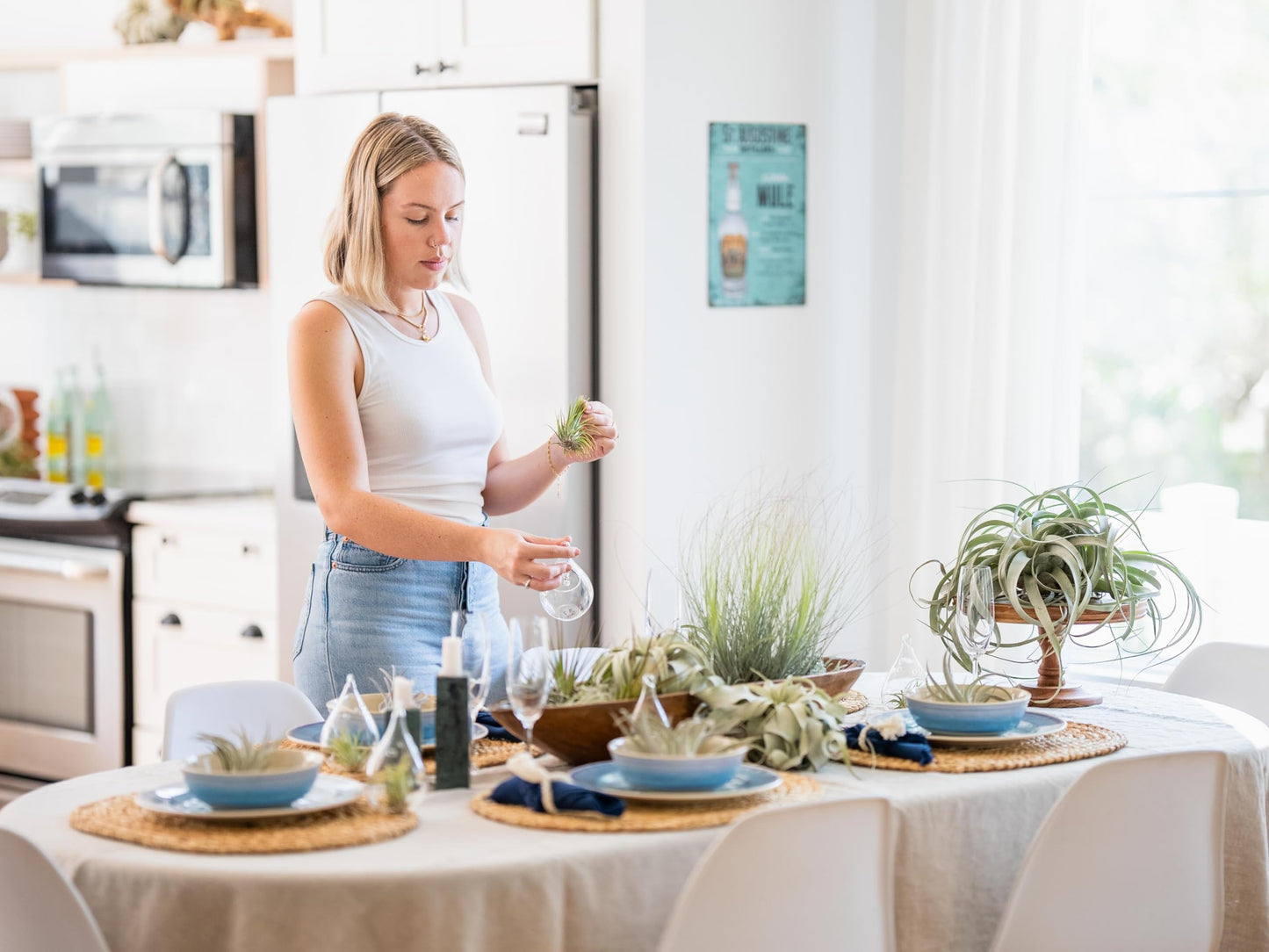 Double Hook Terrariums with Air Plants (Set 3)