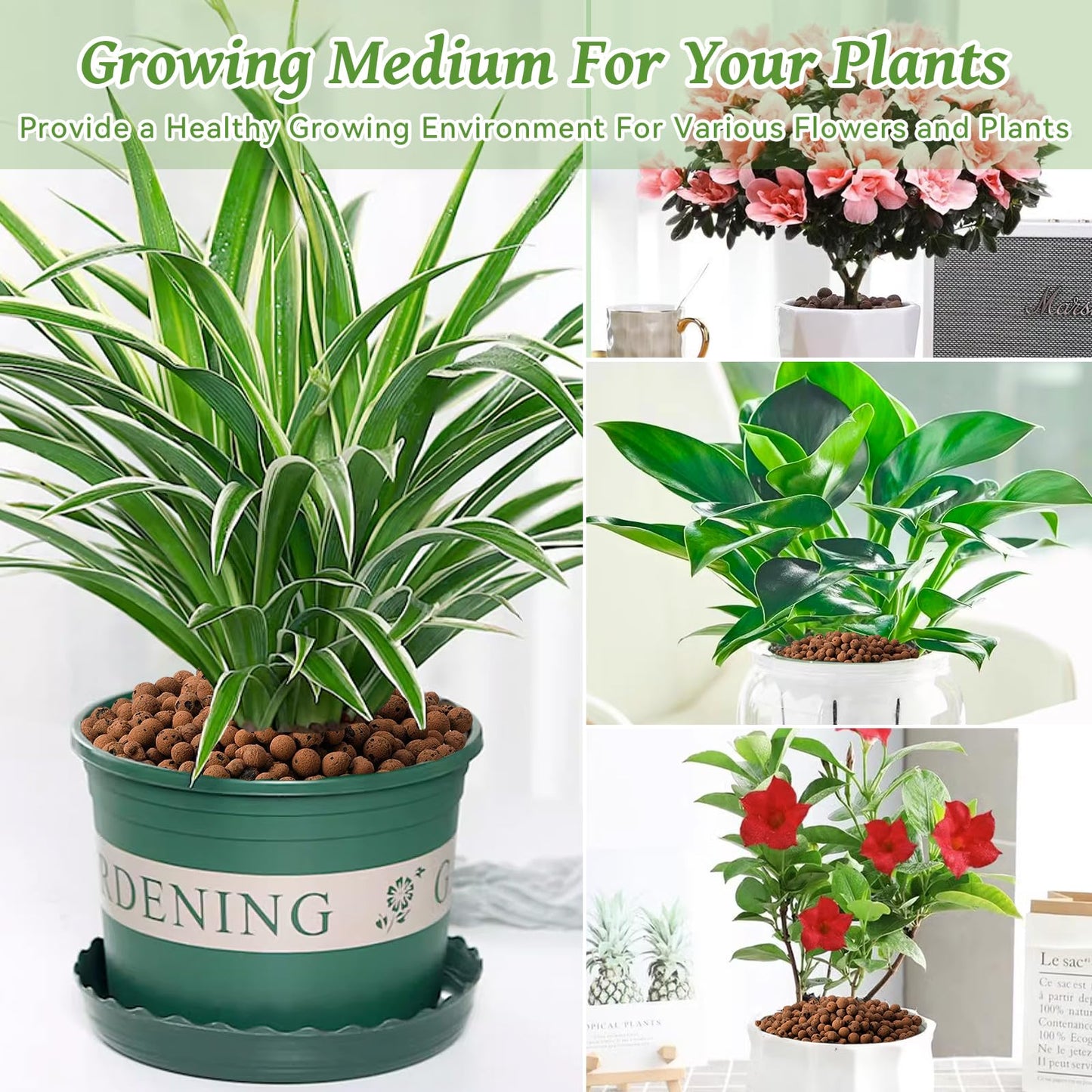 Organic Expanded Clay Pebbles for Plants | Leca