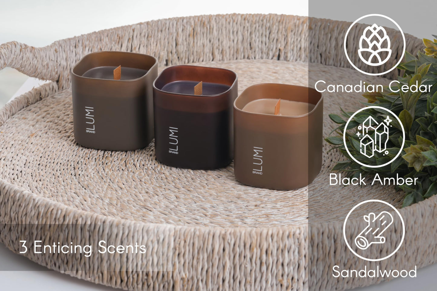 Scented Soy Candles Gift Set | Nature's Bloom Collection | 3 Scented Candles