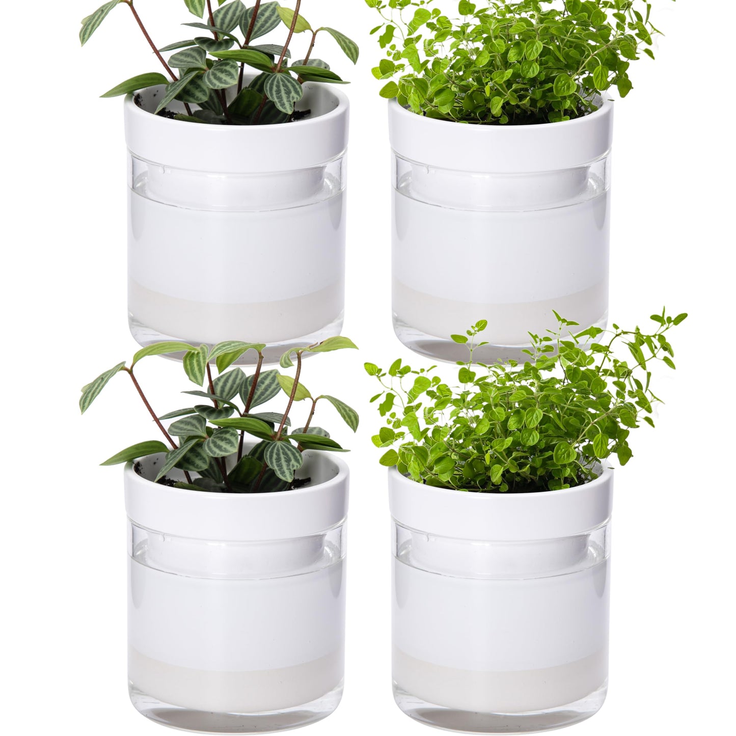 Self Watering Planter Pot Terracotta and Glass