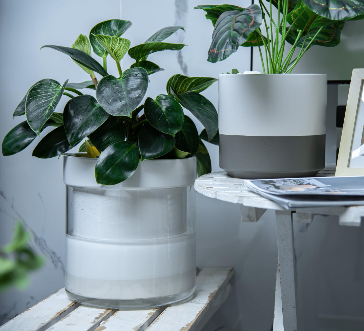 Self Watering Planter Pot Terracotta and Glass