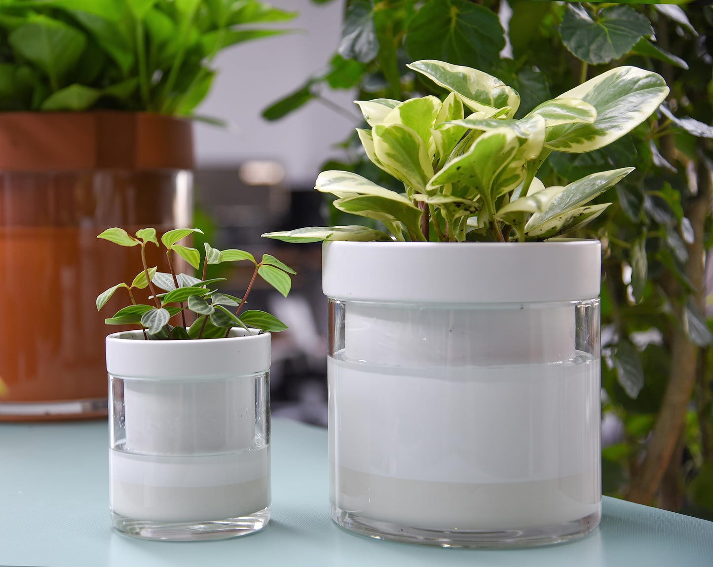Self Watering Planter Pot Terracotta and Glass