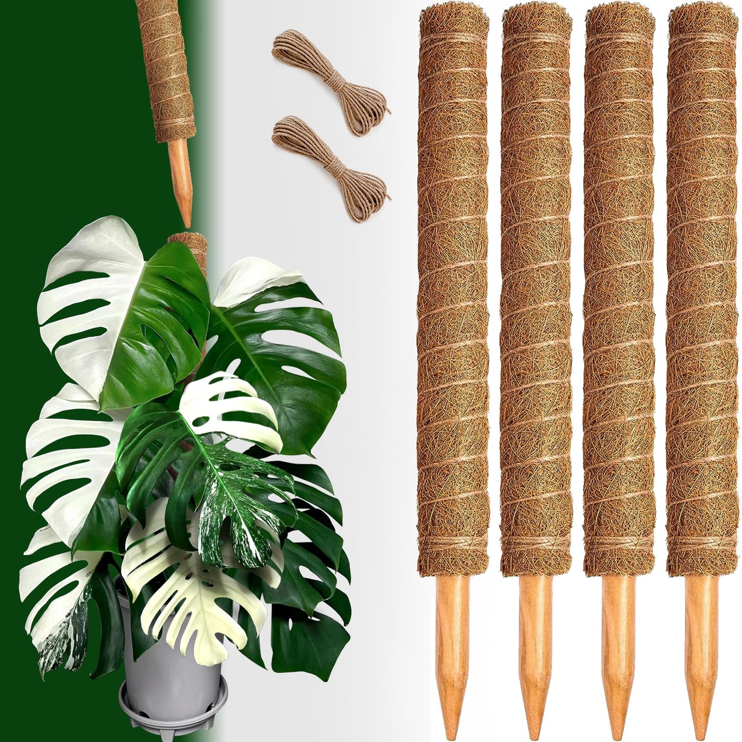 Stackable Moss Pole Pack