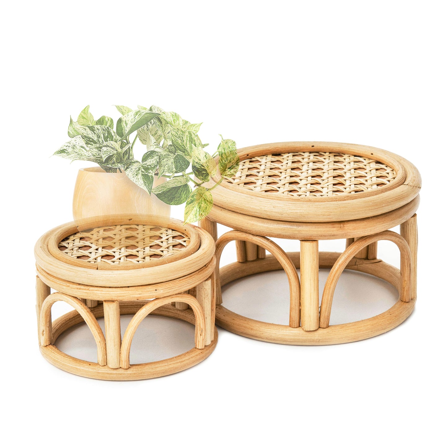 Rattan Wicker Risers S/M