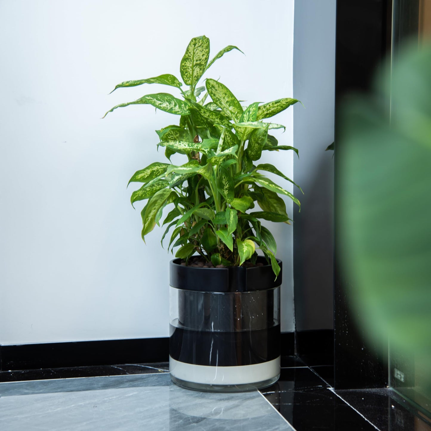 Self Watering Planter Pot Terracotta and Glass