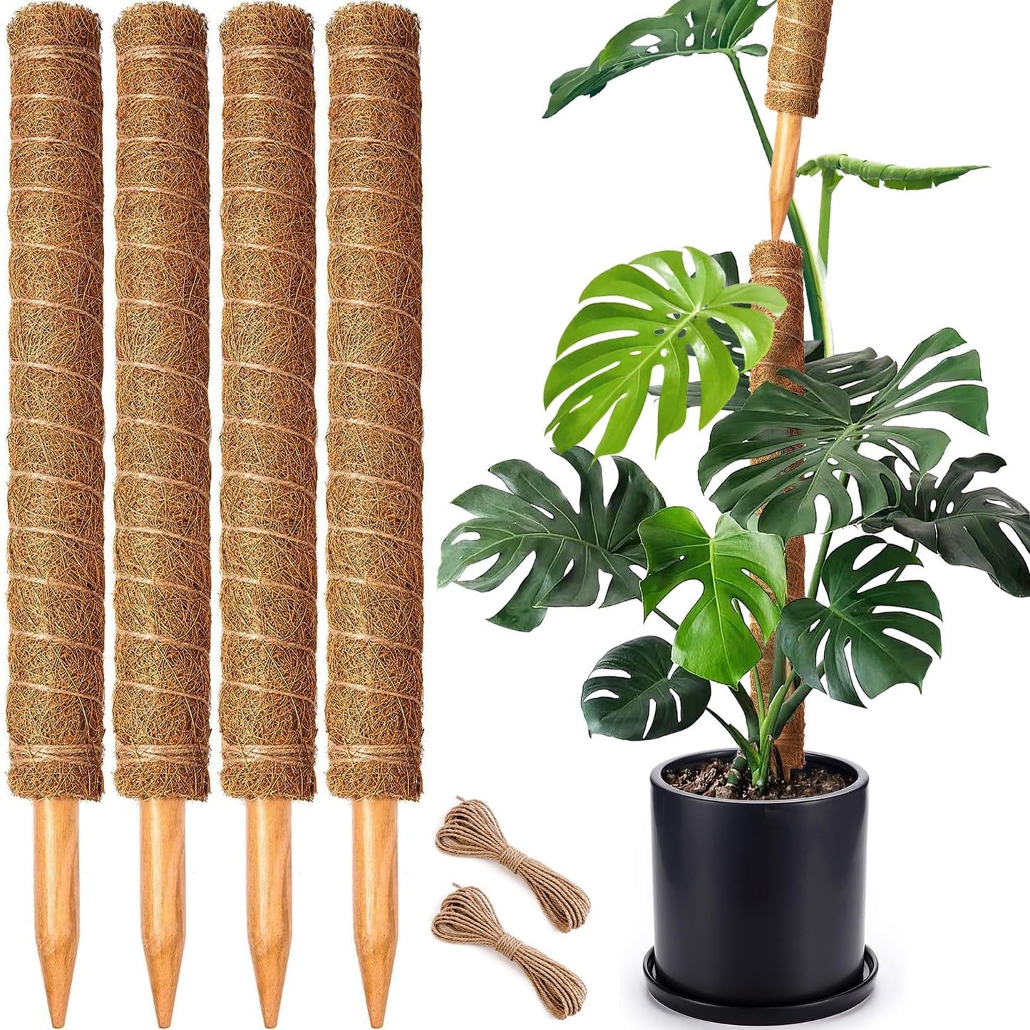 Stackable Moss Pole Pack