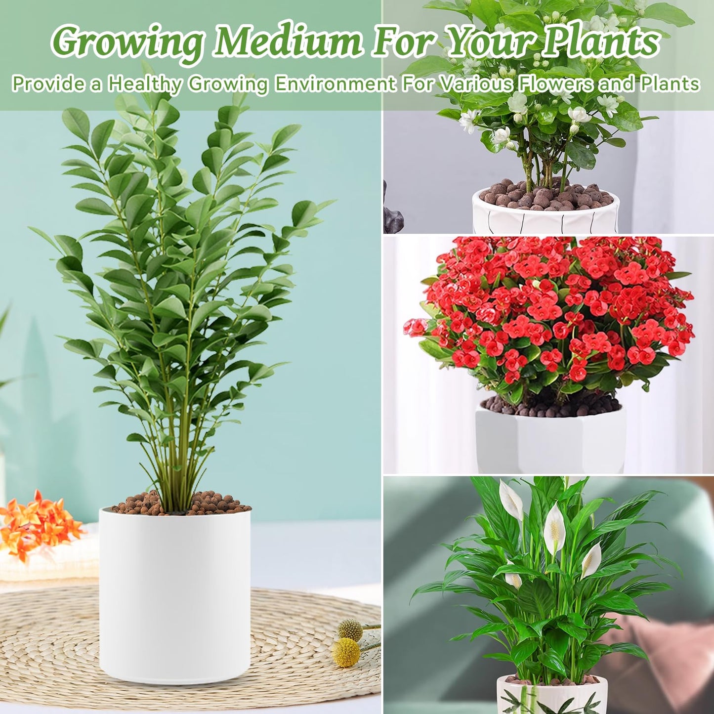 Organic Expanded Clay Pebbles for Plants | Leca