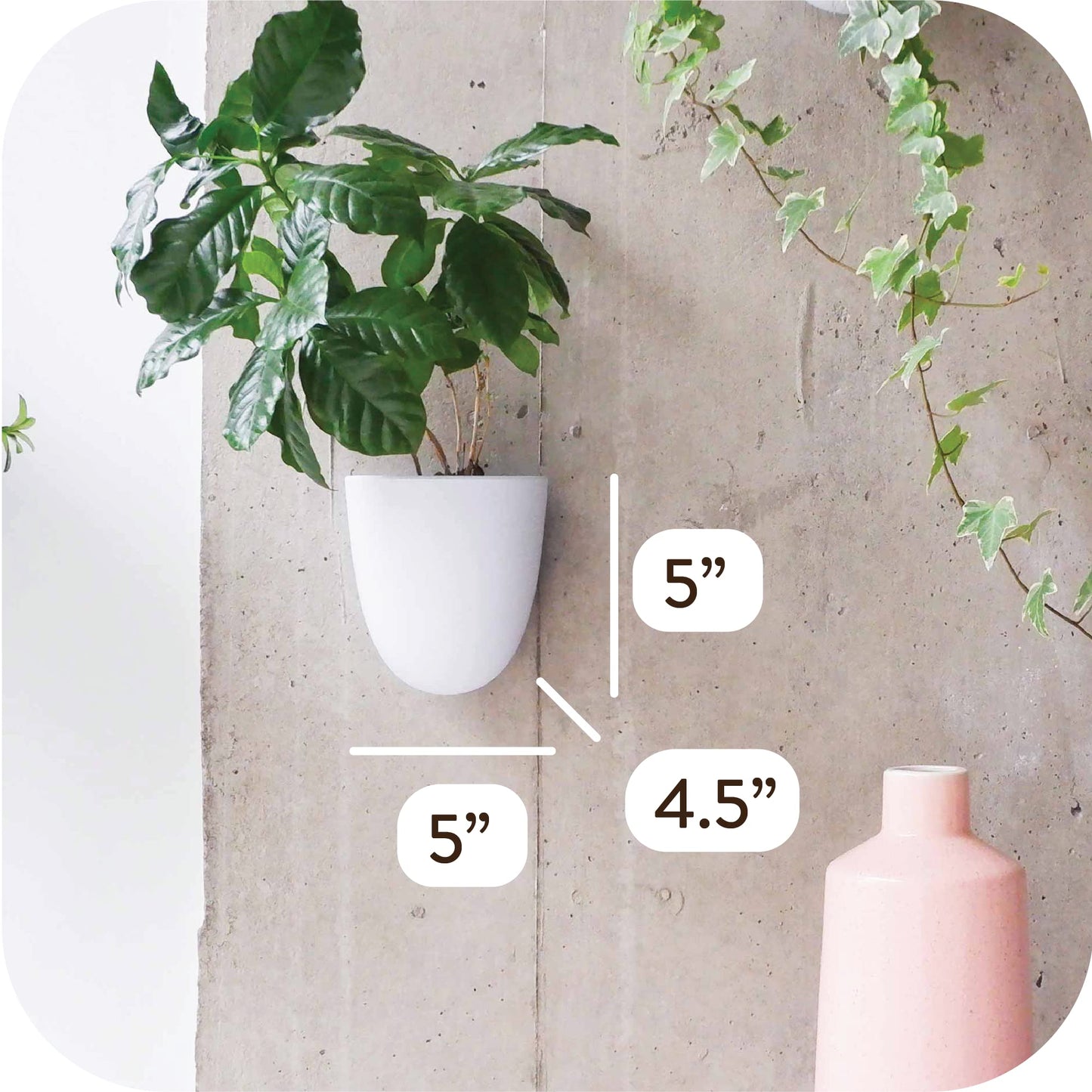 Self-Watering Wall Planter Set