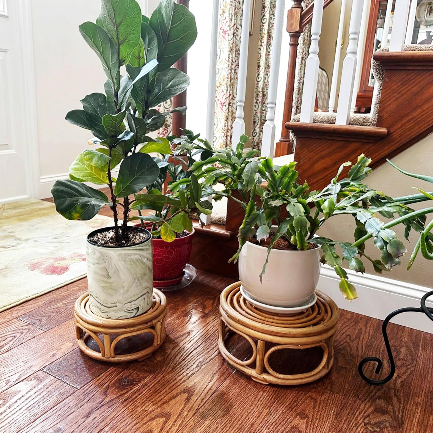 Rattan Wicker Risers S/M