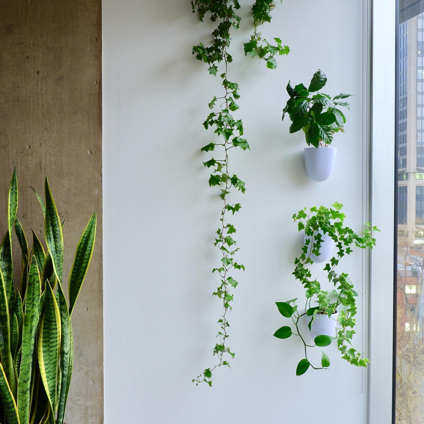 Self-Watering Wall Planter Set