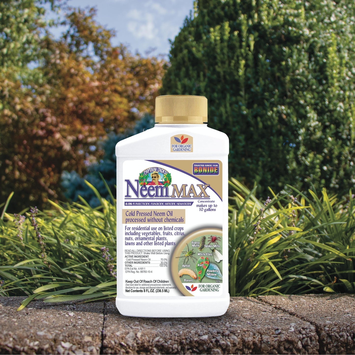 Bonide Captain Jack's Neem Concentrate