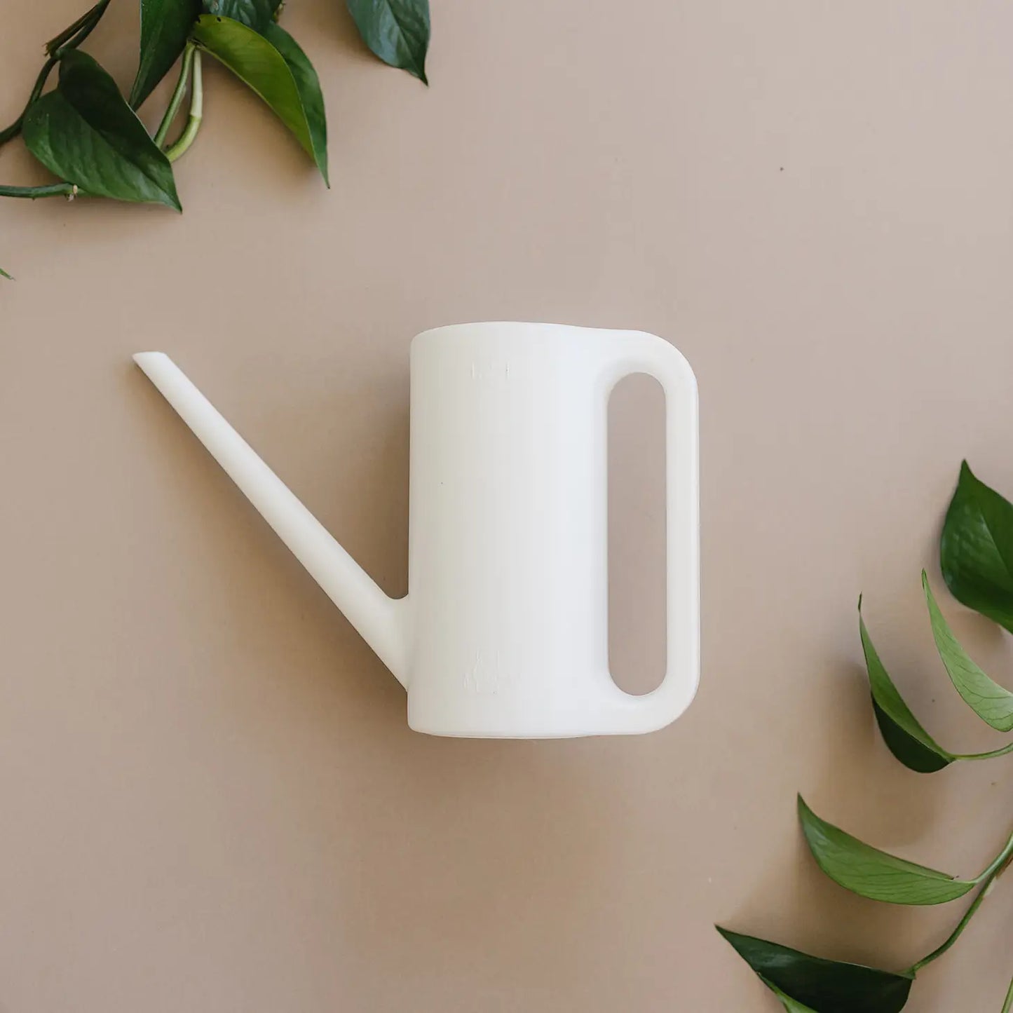 White Watering Can