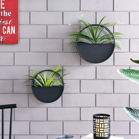 2-Piece Iron Wall Planter Set