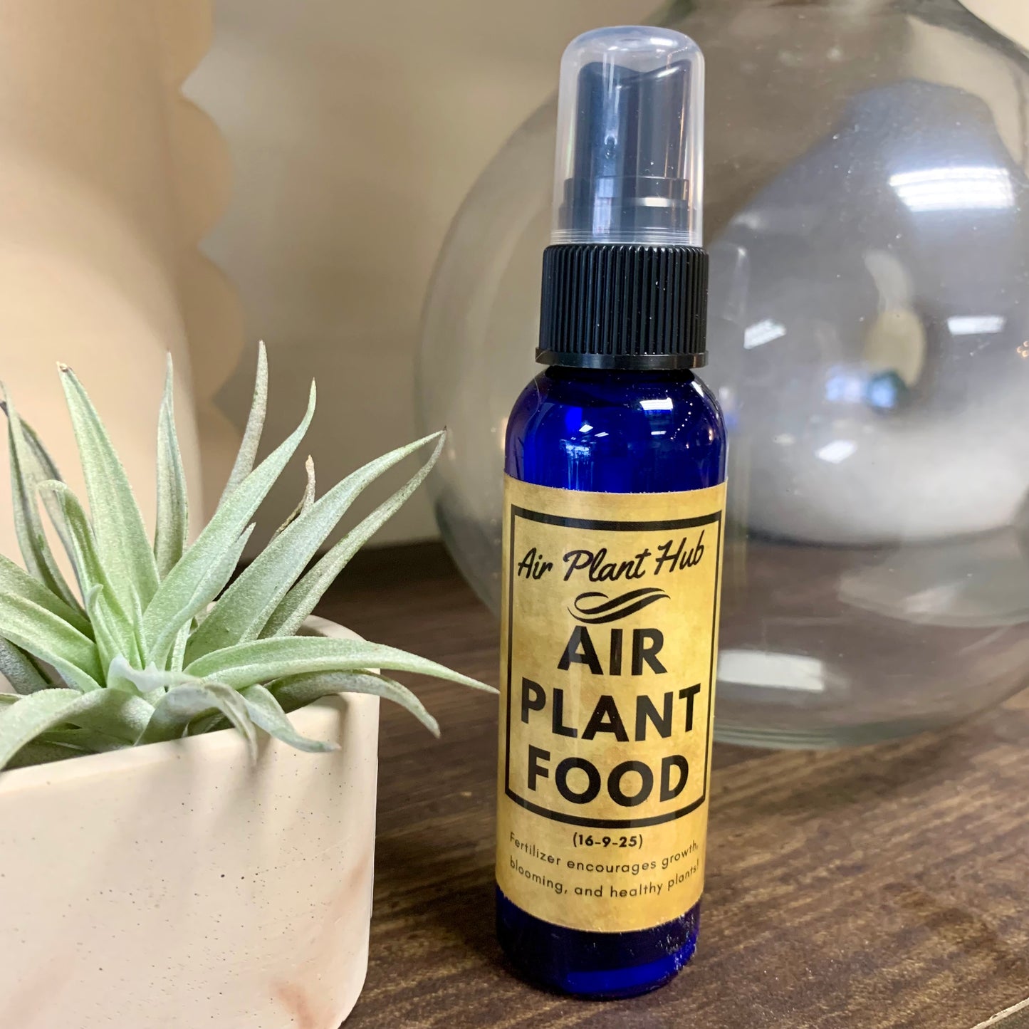 Air Plant Fertilizer